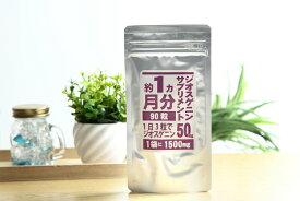 【ネコポス】ジオスゲニンサプリメント 90粒 ジオスゲニン約1500m【ヘルシ価格】 健康食品 サプリメント 栄養補助食品 山芋