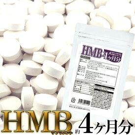 【5個購入で1個多くおまけ】【ネコポス】メガ盛り HMBサプリメントどっさり約4ヶ月分 120粒健康食品 サプリメント フィットネス 美BODY系サプリ