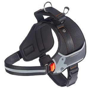 HERCULES n[lX XL ubN/bhybgObY p  n[lX [h }WbNe[v