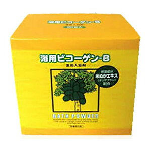 リアル 【医薬部外品】浴用ビコーゲン BN 20g【楽天倉庫直送h】x20包 入浴剤 薬用 医薬部外品 米ぬかエキス配合 トウキエキス 温浴効果