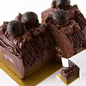 yizN[x`[`R[ggpIƂZȃ`R[P[L ⓀywViz XC[c ⓀP[L KibV `R[gP[L NX}XP[L