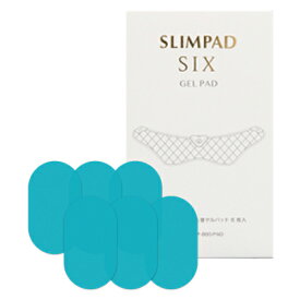 【2個セット】SLIMPAD SIX スリムパッドシックス 専用替ゲルパッド 6枚入りx2セット【ヘルシ価格】 フィットネス機器 EMS 運動機器 腹筋 骨盤 日本製