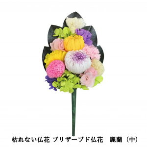 枯れない仏花 プリザーブド仏花 麗蘭(中)単品【楽天倉庫直送h】 仏具 造花 水やり不要 プリザーブドフラワー 消臭 抗菌