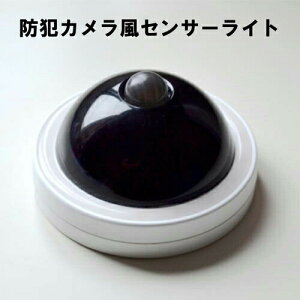 hƃJZT[CgyyVqɒhz hƃObY _~[J lZT[ ZT[Cg