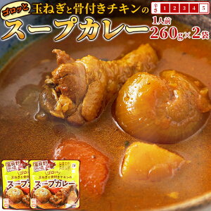 【ゆうメールではなくネコポス出荷】ゴロッと玉ねぎと骨付きチキンのスープカレー2人前(260g×2袋)【ヘルシ価格】 レトルトカレー 電子レンジ 野菜ゴロゴロ 辛口