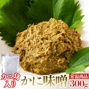 y䂤[zyizɐgґȈiIɂ݂ 300gywViz VR ɂ݂ (300g) Hi ܂ ɖX 킢 g  ґ ֗ AW