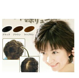 送料無料 POINT HAIR（ポイントヘア）L 髪 ヘアーウィッグ カツラ つけ毛 ヘアスタイル ファッション エクステ ポイント （突然の欠品終了あり）10P03Dec16