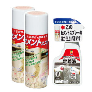 y労Ӊi zZgXv[2{Zbg 蒅t1{t