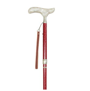 yyVqɒzy܂ݏzJCmX^cEԏ XebL sxpi