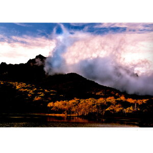 H Ղ̎ʐ^ _ ˉB` H Ղ̎ʐ^ _ ˉB` ≖ʐ^ S[hJ[z pi