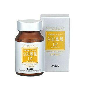 t@[}t[Y PLPJvZ^Cv 100yyVqɒzPLPJvZ^Cv nir^Pz NHi Tvg