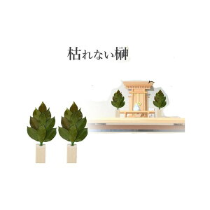 AK G[AhPC Y ͂ȂvU[uh 嗧ĕt ST-002ywVizY ͂ȂvU[uh 嗧ĕt sv 3NȏԂL[v 