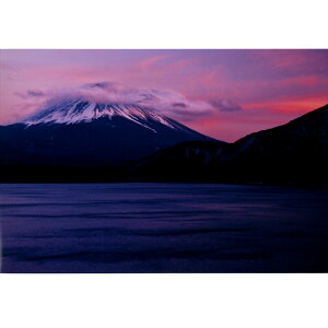 Hǎ Ղ̎ʐ^ xmɐȂ间 ̂͂ȂЂ߁ywVizxmɐȂ间 ̂͂ȂЂ Ղ̎ʐ^V[Y ≖ʐ^ A[g H