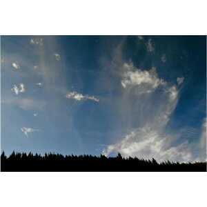 H Ղ̎ʐ^ ywVizH Ղ̎ʐ^  ≖ʐ^ A[g pi