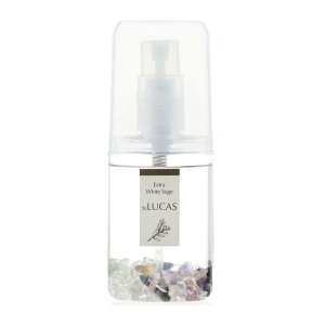 A[VXg LUCASJX zCgZ[W 򉻃Xv[ |Pbg t[Cg 20mLyyVqɒhzzCgZ[W 򉻃Xv[ |Pbg t[Cg ~jTCY 򉻃Xv[