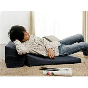 �y�����i�z�y�労�Ӊ��i �z�J�o�[�����O TV�܂��� A573-S �A�b�V���O���[/�C���f�B�S�u���[�y�����E����s�z