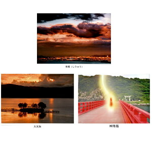 Hǎ Ղ̎ʐ^ イ/V/_~ՁywVizHǎ Ղ̎ʐ^  V _~ A[g pi