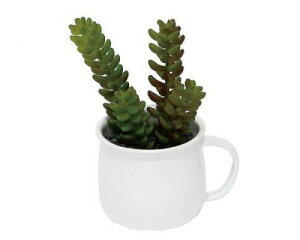 CT���F���I�G�g�[�� �|�e�}�O �z���C�g 420619101���� �t�����[�A�����W �C���e���A�O���[�� CT�G�}���H