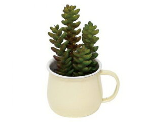 CT���F���I�G�g�[�� �|�e�}�O �N���[�� 420619102���� �t�����[�A�����W �C���e���A�O���[�� CT�G�}���H