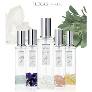 NX^n[uEH[^[Xv[ LUCAS 100mlVR p[Xg[ Xv[ ANZT[  K