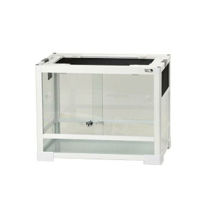 peI zCg WH4535yyVqɒhz ybgObY ঒  P[W pi