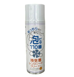 CWt[hN[i[As^110ԁyyVqɒz|  Lb` N[i[  A Xv[