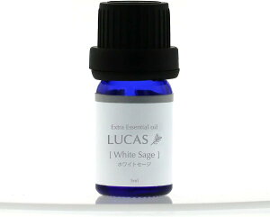 LUCAS GNXgEGbZVIC zCgZ[W 5mlyyVqɒhz A} GbZVIC  A}IC N[[V K