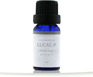 LUCAS GNXgEGbZVIC zCgZ[W 10mlyyVqɒhz A} GbZVIC  A}IC N[[V K