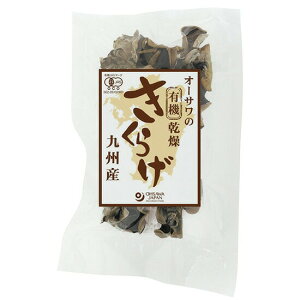 y2ZbgzI[T̗L@炰 BY 20gx2Zbgysiz YL@炰炰 傫ēA悢