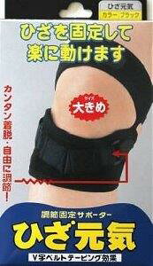 yyVqɒhzЂCubN傫 1ywViz NObY T|[^[ Gp ی Œ e[sO