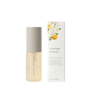 yyVqɒhz̖ IWt[ ~XgR 30mlywViz ϕi RX tOX GbZVIC VRFz