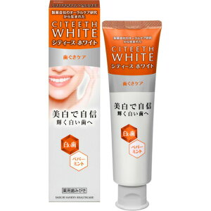 yyVqɒhzy򕔊OizVeB[XzCg PA 110gywViz f^PA  򕔊Oi n~KL