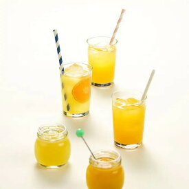 【直送品】伊藤農園 100％ピュアジュース4種飲み比べ 10本 食品 ドリンク 飲料 ギフト プレゼント