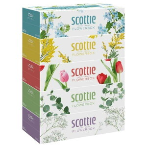 yizy12ZbgzXRbeB eBV[ t[{bNX 500i250gj×5x12Zbg scottie e eBV[