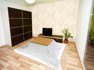 R^c| h LUND 210cm×210cm GYyyVqɒhz | hJo[ zcJo[ @ ȒP hJo[