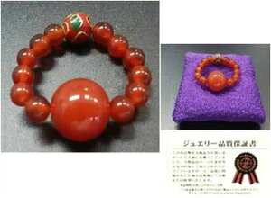 Ԃ̌COw yyVqɒhzO VR p[Xg[ ANZT[ ԃmE t[TCY