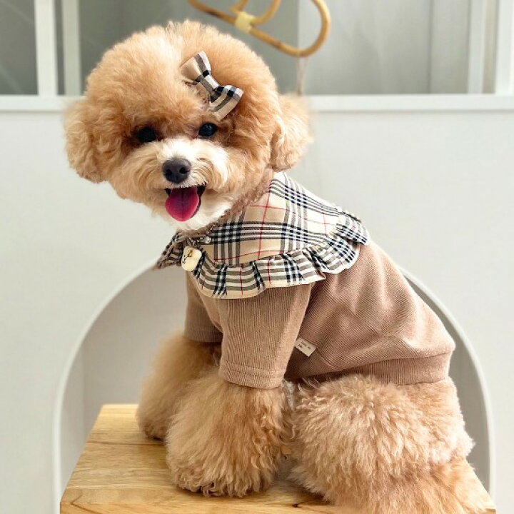 楽天市場】【 犬用 おしゃれ Tシャツ ☆ 3サイズ(2色) 】 ドッグウェア 