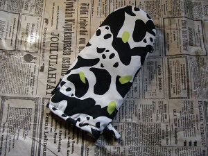 k@tBh@Finlayson V@SukukokuousI[u~g