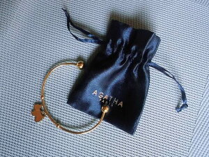 tX@p@Agatha@ParisiAK^pj̃L[gȃoO{