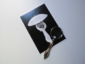 tX@pŌAeC[N̑fGȃ}Ot@CO@OX