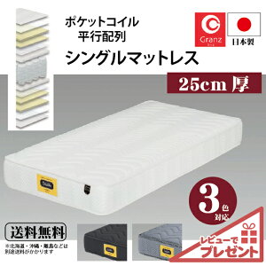 Granz(Oc) YVO}bg Ojbg 3][ 25cm |PbgRC sz J[3FΉ