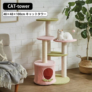 Lbg^[ X CAT nEX L lR rO lR^[ LXy[X L炵 ybg L^[ ^L X ܂Ƃ  u^Cv Vя ^s 100cm