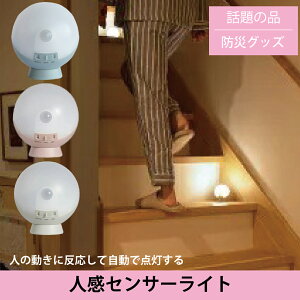 Ă̂܂܂ ZT[Cg hЂ̓ hЃObY Ɩ  l ZT[ ~jCg dr Ɩ  lC  f SALE 铔 ݃J[ sN O[ u[