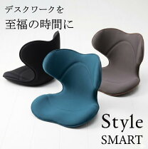 楽天市場】ボディ メイクシート スタイル mtg makeseatstyleの通販