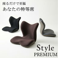 姿勢ケアシート MTG Style PREMIUM スタイル プレミアム 骨盤矯正 椅子 姿勢 サポート 腰痛 オフィス 在…
