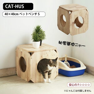 yubNtCf[T5Itz LgnX ybgx` S NATURAL SIGNATURE i`VOl`[ CAT-HUS L x` B 閧n Lbg^[ gݍ킹 ςݏd ؐ 