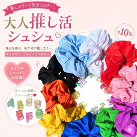 【楽天スーパーSALE ポイント10倍】シュシュ 推し活 推しカラー メンバーカラー ヘアアクセ ヘアアクセサリー ヘアゴム ライブ コンサート参戦 参戦コーデ かわいい お揃い ギフト プレゼント アイドル オタ活 レディース チャーム 秋 秋コーデ 秋冬 文化祭 体育祭 学園祭