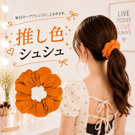 【楽天スーパーSALE ポイント10倍】シュシュ オレンジ 橙 推し活 推しカラー メンバーカラー 担当カラー オレンジ担当 ヘアアクセ ヘアアクセサリー ヘアゴム 痛バッグ ライブ コンサート フェス 参戦 参戦コーデ かわいい 1000円ポッキリ 秋 ハロウィン