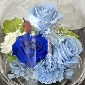 vU[uh h[ َq3t hV̓ aj v[g ސEj  j LO j ʉ  NX}X