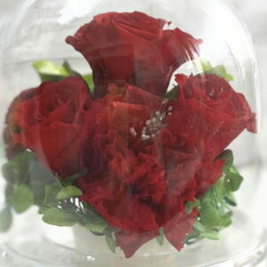 vU[uh h[ َq2t hV̓ aj v[g ސEj  j LO j ʉ  NX}X